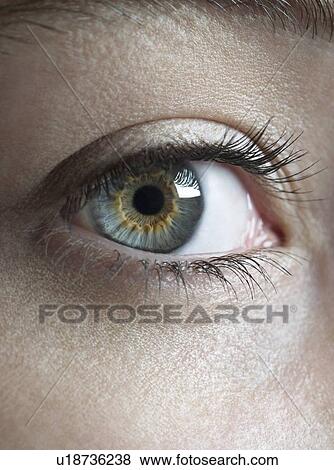 Woman's eye. View Large Photo Image Stock Photo - Woman's eye.. Fotosearch