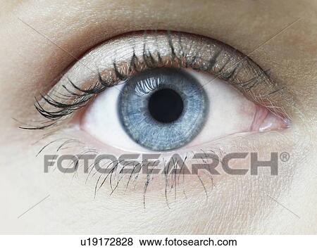 Woman's eye. View Large Photo Image Stock Photo - Woman's eye.. Fotosearch