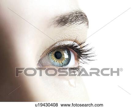 Woman's eye. View Large Photo Image Stock Photo - Woman's eye.. Fotosearch