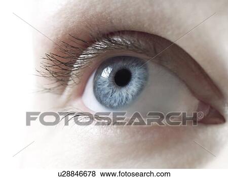 Stock Photo - Woman's eye.. Fotosearch