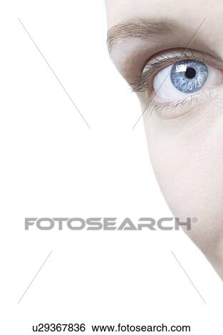 Woman's eye. View Large Photo Image Stock Photograph - Woman's eye.. Fotosearch