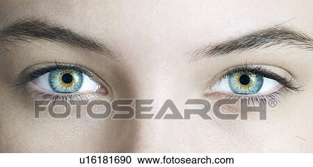 Woman's eyes. View Large Photo Image Stock Image - Woman's eyes.. Fotosearch