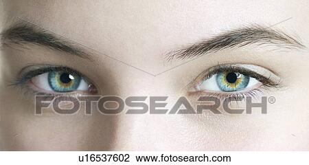 Woman's eyes. View Large Photo Image Stock Image - Woman's eyes.. Fotosearch