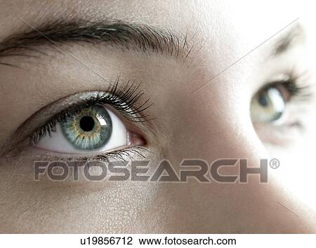 Woman's eyes. View Large Photo Image Stock Image - Woman's eyes.. Fotosearch