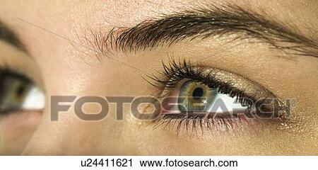 Woman's eyes. View Large Photo Image Stock Image - Woman's eyes.. Fotosearch