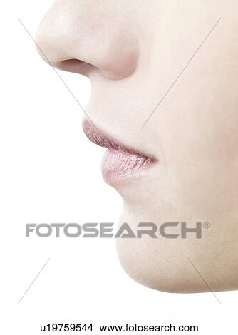Woman's nose and mouth in profile. View Large Photo Image Picture - Woman's nose and mouth in profile.. Fotosearch