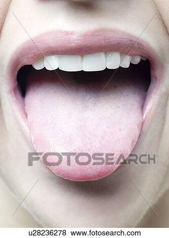 Woman's tongue. View Large Photo Image Stock Photo - Woman's tongue.. Fotosearch