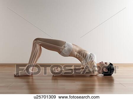 Stock Photo - Yoga, computer artwork.. Fotosearch