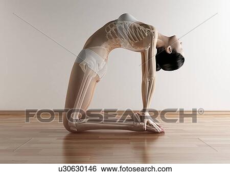 Yoga, computer artwork. View Large Photo Image Stock Photograph - Yoga, computer artwork.. Fotosearch