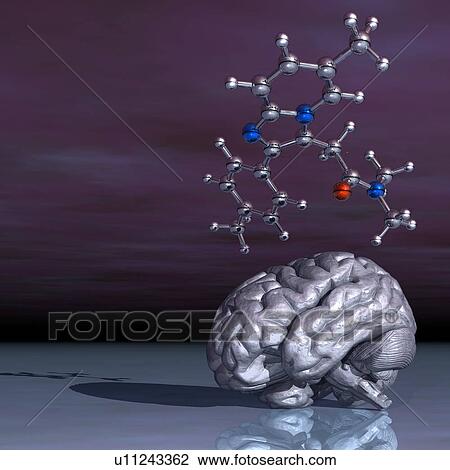 Zolpidem. Molecular model of the sedative drug Zolpidem and a human brain. This drug is used for the short-term treatment of insomnia. Atoms are represented as spheres and are colour-coded: carbon (grey), hydrogen (white), nitrogen (blue) and oxygen (red) View Large Photo Image Stock Image - Zolpidem. Molecular model of the sedative drug Zolpidem and a human brain. This drug is used for the short-term treatment of insomnia. Atoms are represented as spheres and are colour-coded: carbon (grey), hydrogen (white), nitrogen (blue) and oxygen (red). Fotosearch
