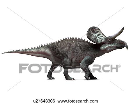 Stock Photograph - Zuniceratops dinosaur, computer artwork. This dinosaur lived approximately 90 million years ago during the Turonian age of the Late Cretaceous period.. Fotosearch