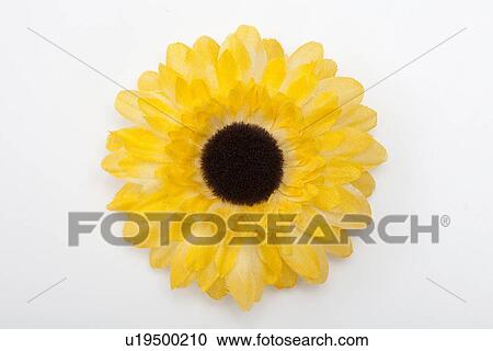 Artificial Sunflower View Large Photo Image Stock Image - Artificial Sunflower. Fotosearch