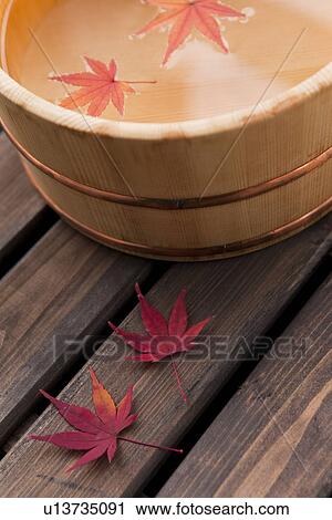 Autumn Leaves and a Bucket View Large Photo Image Stock Image - Autumn Leaves and a Bucket. Fotosearch