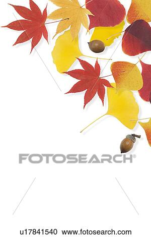 Autumnal background View Large Photo Image Stock Image - Autumnal background. Fotosearch