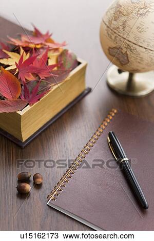 Autumnal Leaves In Box View Large Photo Image Stock Image - Autumnal Leaves In Box. Fotosearch