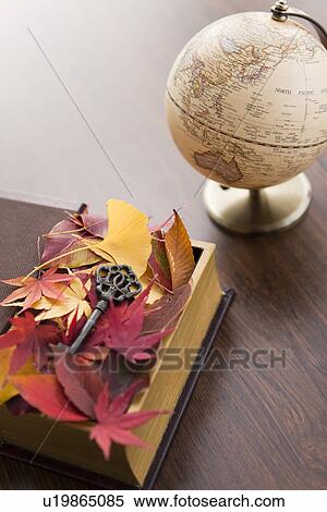 Stock Photography - Autumnal Leaves In Box. Fotosearch