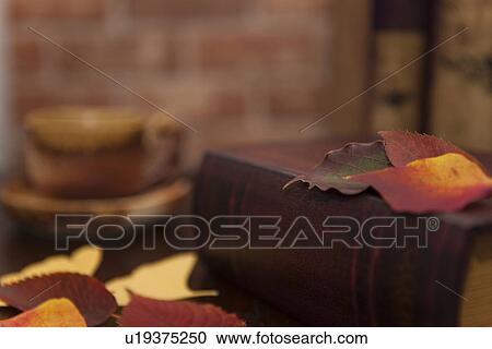 Autumnal Leaves on Book View Large Photo Image Stock Image - Autumnal Leaves on Book. Fotosearch