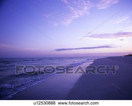 Beach at dusk, Florida, USA View Large Photo Image Stock Photo - Beach at dusk, Florida, USA. Fotosearch
