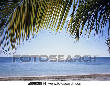 Beach, Florida, USA View Large Photo Image Picture - Beach, Florida, USA. Fotosearch