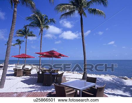 Beach, Florida, USA View Large Photo Image Stock Image - Beach, Florida, USA. Fotosearch