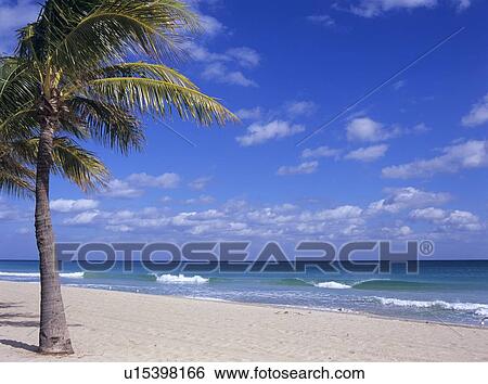Beach, Florida, USA View Large Photo Image Stock Photograph - Beach, Florida, USA. Fotosearch