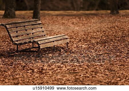 Stock Photo - Bench Surrounded By Fallen Leaves. Fotosearch