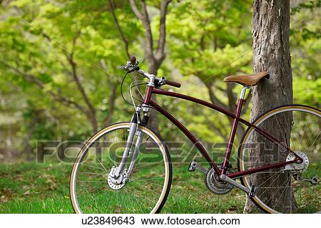 Stock Image - Bicycle In Fallen Leaves. Fotosearch
