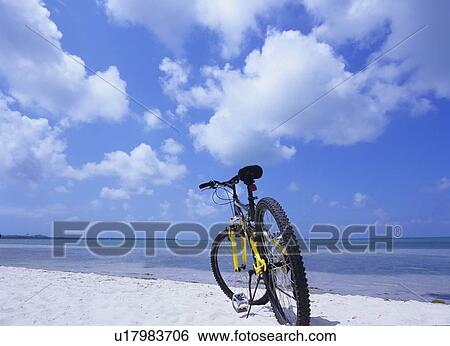 Stock Photograph - Bicycle parked at beach, Florida, USA. Fotosearch