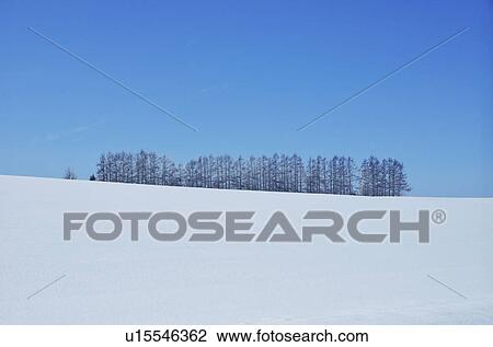 Blue Sky Over Winter Landscape View Large Photo Image Stock Image - Blue Sky Over Winter Landscape. Fotosearch