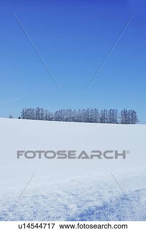 Blue Sky Over Winter Landscape View Large Photo Image Stock Photo - Blue Sky Over Winter Landscape. Fotosearch