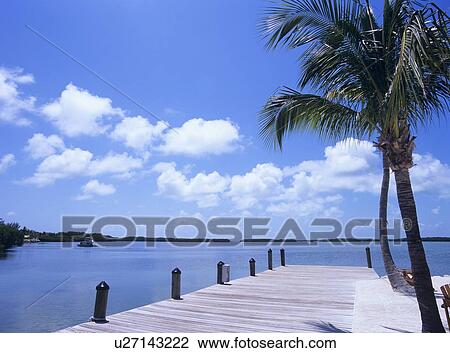 Boardwalk and sea, Florida, USA View Large Photo Image Stock Image - Boardwalk and sea, Florida, USA. Fotosearch