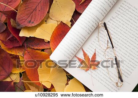 Stock Photography - Book and Glasses on a Bed of Autumnal Leaves. Fotosearch