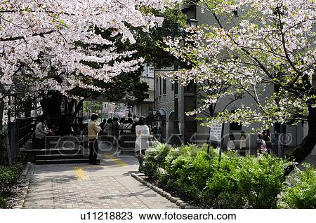 Cityscape View Large Photo Image Stock Image - Cityscape. Fotosearch