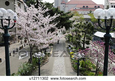 Cityscape View Large Photo Image Stock Image - Cityscape. Fotosearch