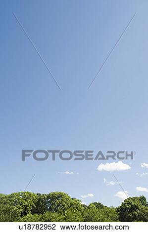 Stock Image - Clear sky over trees. Fotosearch