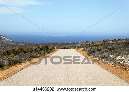 Coastal road in Cape Le Grand National Park View Large Photo Image Stock Image - Coastal road in Cape Le Grand National Park. Fotosearch