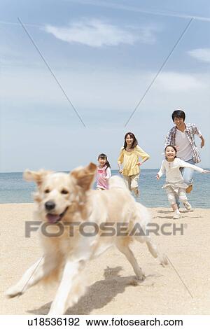 Dog Running on Beach, Family In Background View Large Photo Image Stock Image - Dog Running on Beach, Family In Background. Fotosearch