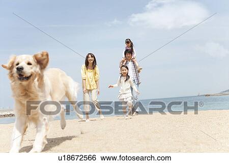 Stock Photograph - Dog Running on Beach, Family In Background. Fotosearch