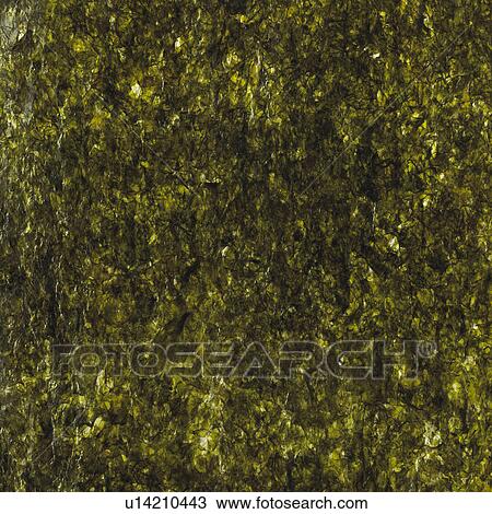 Stock Image - Dried seaweed. Fotosearch
