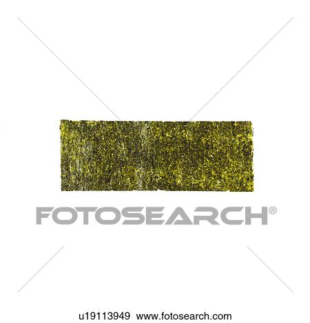 Dried seaweed View Large Photo Image Stock Photo - Dried seaweed. Fotosearch