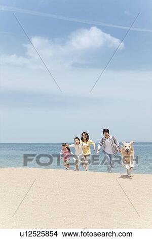 Family of Four and Dog Running on Beach View Large Photo Image Picture - Family of Four and Dog Running on Beach. Fotosearch