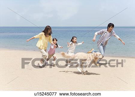 Family of Four and Dog Running on Beach View Large Photo Image Stock Photo - Family of Four and Dog Running on Beach. Fotosearch