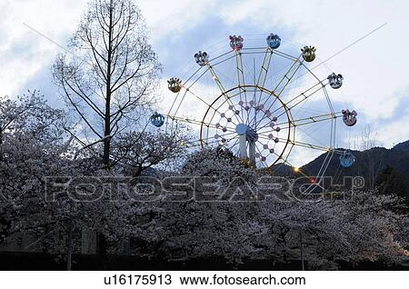 Ferris wheel in Prince zoo View Large Photo Image Stock Image - Ferris wheel in Prince zoo. Fotosearch