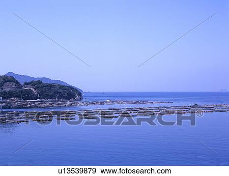 Fish farm, Uwajima City, Ehime Prefecture, Japan View Large Photo Image Stock Photo - Fish farm, Uwajima City, Ehime Prefecture, Japan. Fotosearch