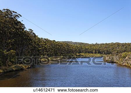 Stock Image - Frankland river. Fotosearch