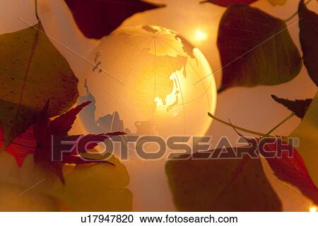 Globe and Fallen Leaves View Large Photo Image Stock Image - Globe and Fallen Leaves. Fotosearch