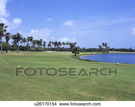 Picture - Golf course, Florida, USA. Fotosearch