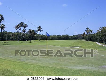 Golf course, Florida, USA View Large Photo Image Stock Image - Golf course, Florida, USA. Fotosearch