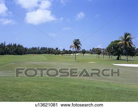 Golf course, Florida, USA View Large Photo Image Stock Image - Golf course, Florida, USA. Fotosearch