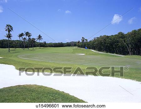 Golf course, Florida, USA View Large Photo Image Stock Image - Golf course, Florida, USA. Fotosearch